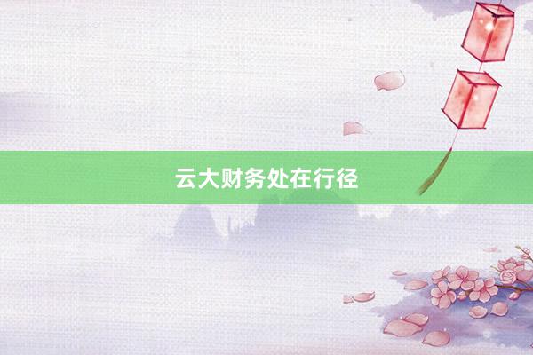 云大财务处在行径