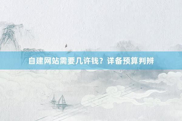 自建网站需要几许钱？详备预算判辨
